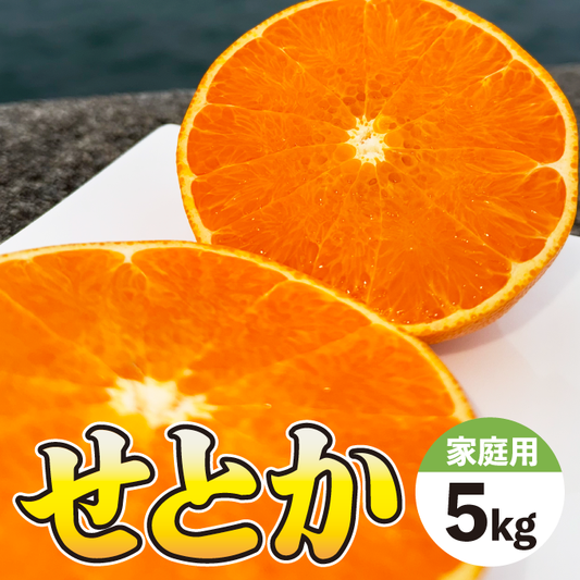 【すぐに発送可能】せとか　濃厚ジューシー　今が旬！大満足！５Ｋg