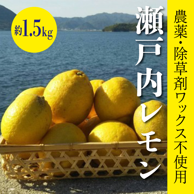 ≪白須レモンファーム≫レモン1.5キロ農薬・除草剤・化学肥料不使用