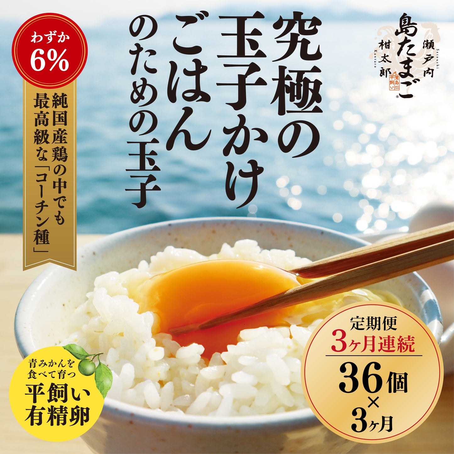 ≪3ヶ月連続 定期配送≫瀬戸内柑太郎「島たまご」６個入6パック×3ヶ月