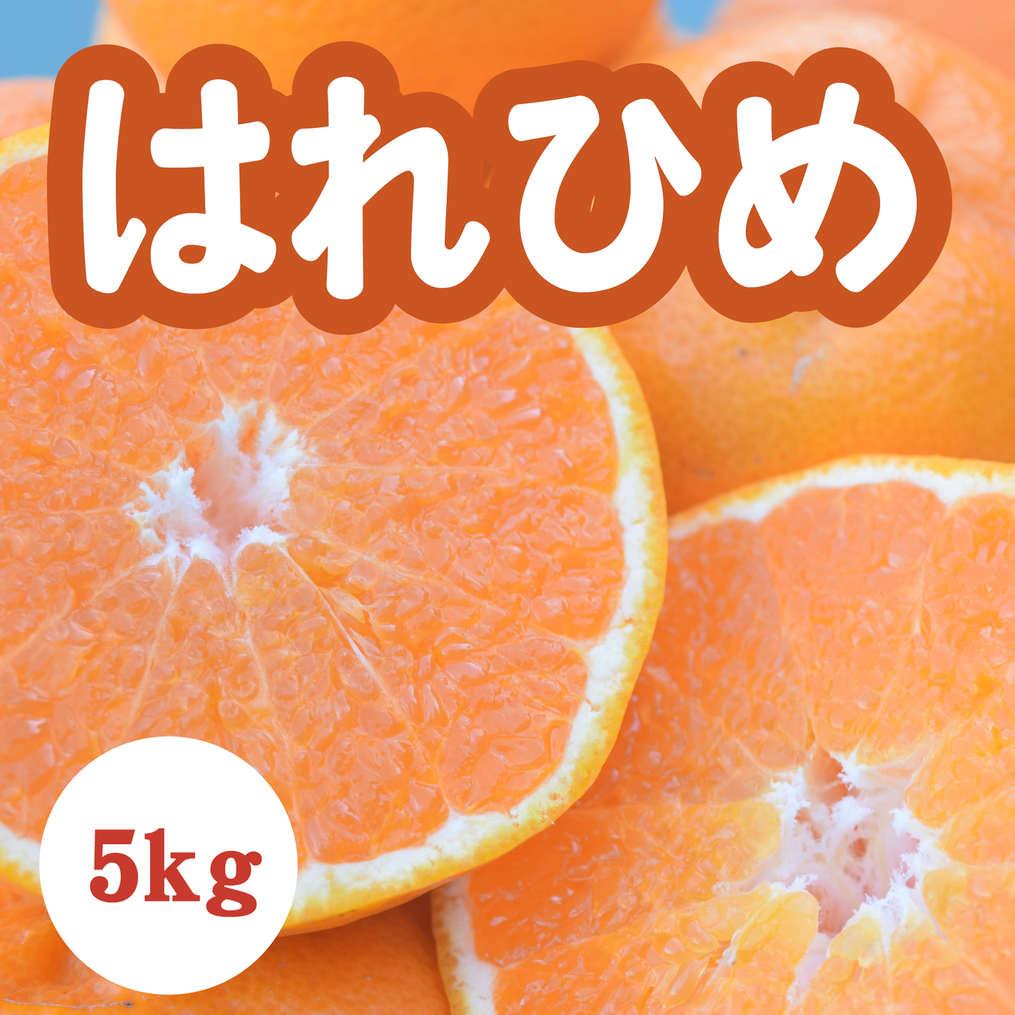 【1月上旬以降】新品種はれひめ！爽やかな甘さが特徴５Kg