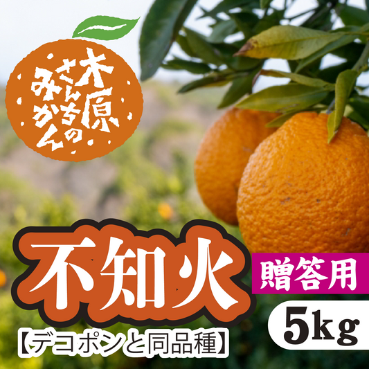 【3月上旬以降】≪贈答用≫デコが特徴！甘さとほどよい酸味が特徴『不知火』５Ｋg