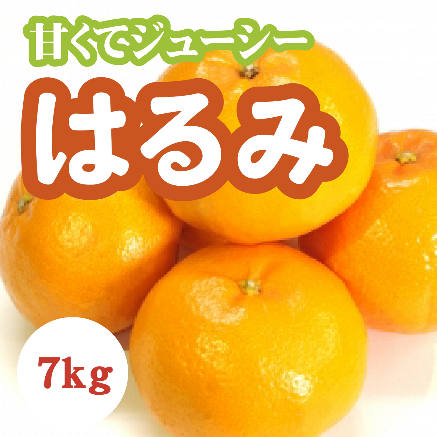 【2月上旬以降】貴重な品種『はるみ』甘さと酸味のハーモニー７Kg