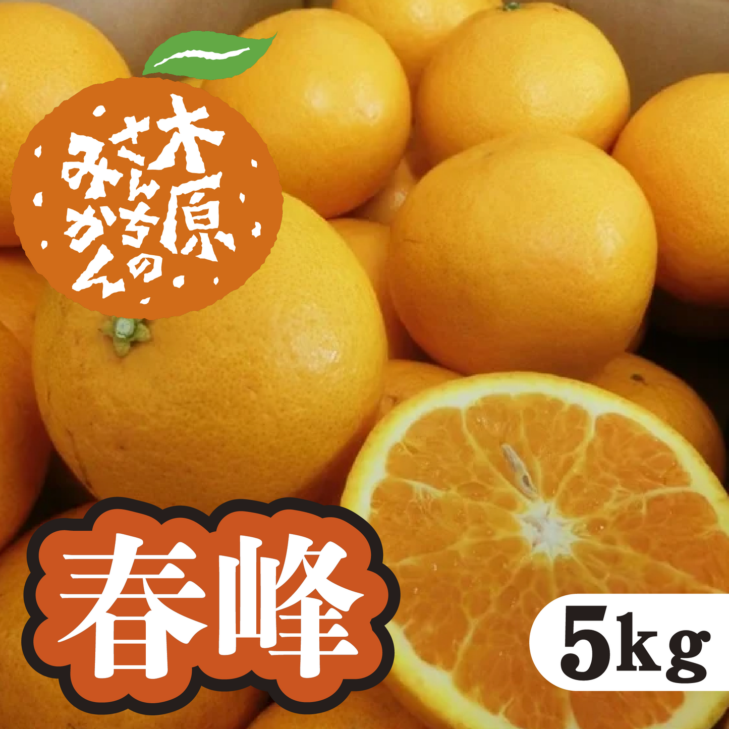 【3月上旬以降】春峰　甘身と酸味のいいとこどり！５Ｋg