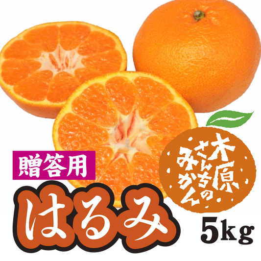 【2月中旬以降】≪贈答用≫はるみ　甘くて皮もむきやすい！５Ｋg