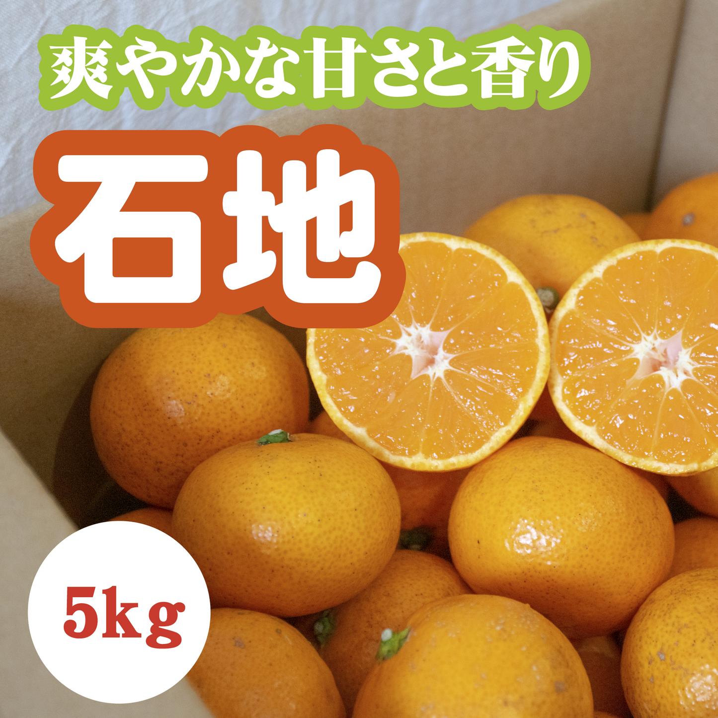 【12月上旬以降】甘さがギュッ！！と詰まった石地みかん５Kg