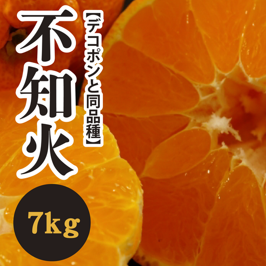 【2月中旬以降】清見とポンカンの交雑種！！人気の不知火７Kg