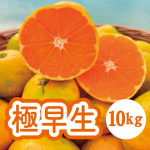 【10月中旬以降】酸味の中にみかんの甘み！昔ながらの極早生みかん！10Ｋg
