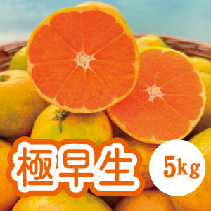 【10月中旬以降】酸味の中にみかんの甘み！昔ながらの極早生みかん！５Ｋg