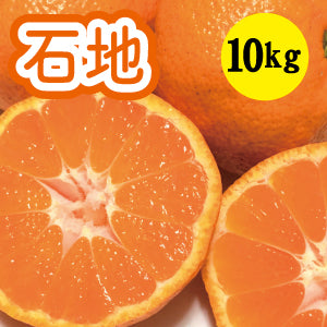 【12月上旬以降】ギュッと味濃い 石地みかん１０kg