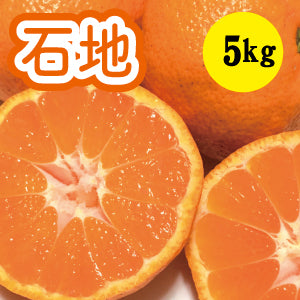【12月上旬以降】ギュッと味濃い 石地みかん５㎏