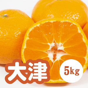 【1月以降】糖度が高い 大津みかん！５Ｋg