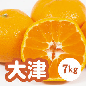 【1月以降】糖度が高い 大津みかん！7Ｋg