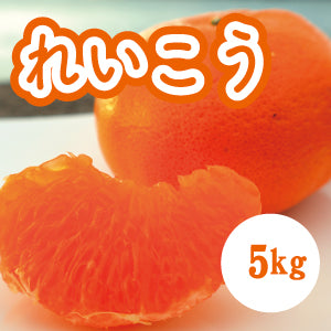 【２月上旬以降】甘みが強く酸味が少ない　れいこう５Kg