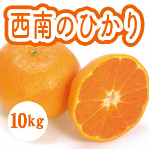 【12月下旬以降】甘さと酸味が絶妙　西南のひかり１０Kg