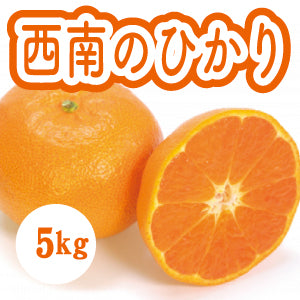【12月下旬以降】甘さと酸味が絶妙　西南のひかり５Kg