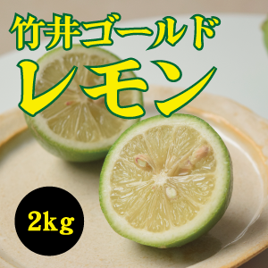 【11月中旬以降】瀬戸内育ち　果汁たっぷり竹井ゴールドレモン２Kg